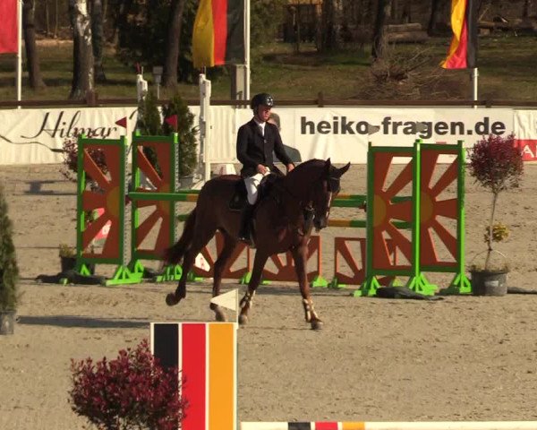 FEI Reitturnier Westergellersen (GER) 2021