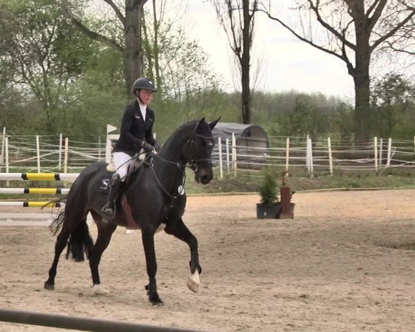 Reitturnier Lampertheim 2021