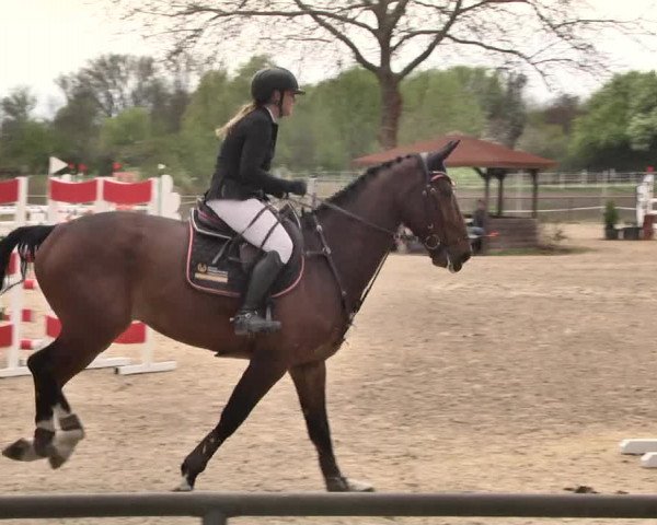 Reitturnier Lampertheim 2021