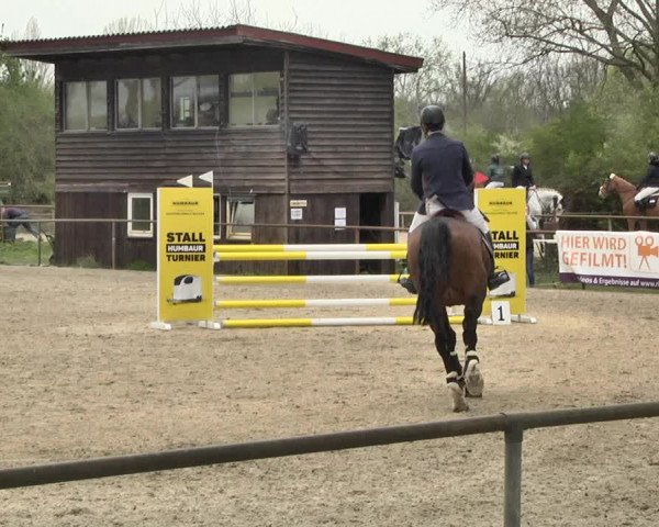 Reitturnier Lampertheim 2021