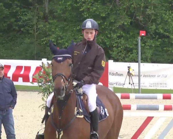 jumper Clausewitz (Oldenburg, 1997, from Continue) jumper Clausewitz (Oldenburg, 1997, from Continue)
