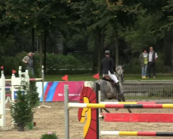 jumper Cassiana (Oldenburg show jumper, 2006, from Cassinus)