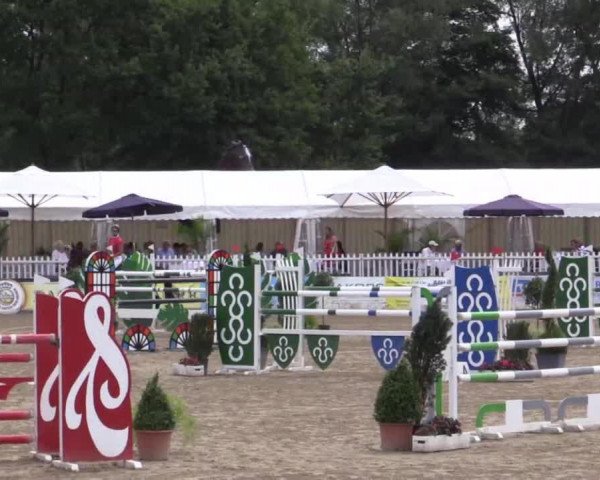jumper Year One R (Finnish Warmblood, 2006, from Ferro)