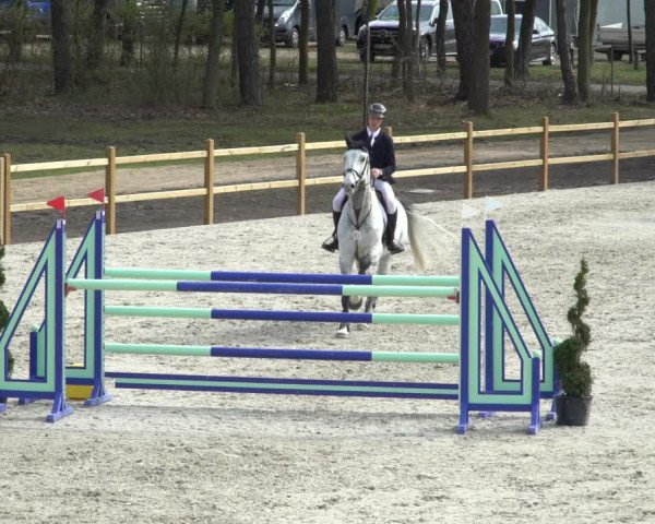FEI Reitturnier Westergellersen (GER) 2021