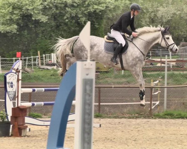 Reitturnier Lampertheim 2021