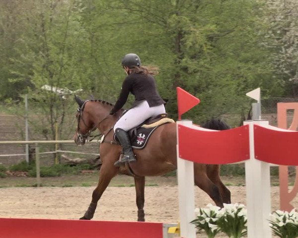 Reitturnier Lampertheim 2021