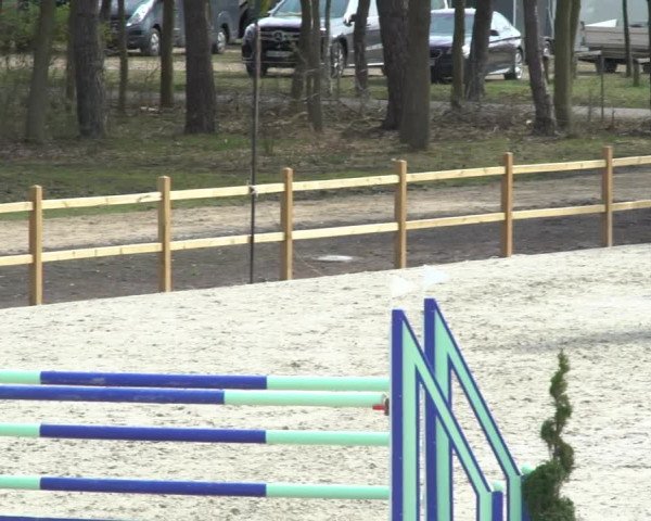 FEI Reitturnier Westergellersen (GER) 2021
