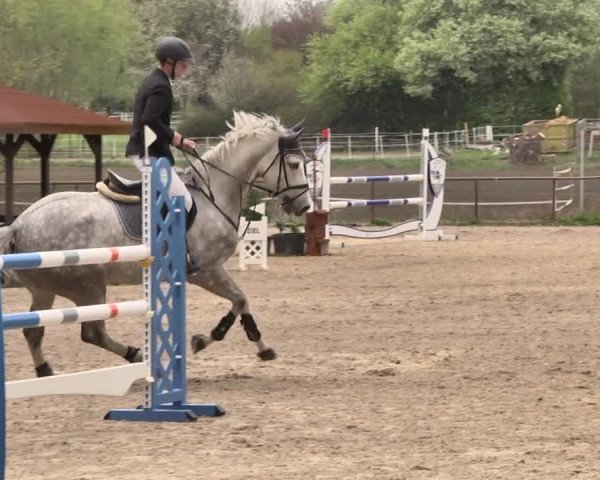 Reitturnier Lampertheim 2021
