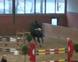 jumper Kardam 2 (Bulgarian Warmblood, 2005, from Kanetso)