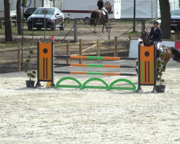 FEI Reitturnier Westergellersen (GER) 2021