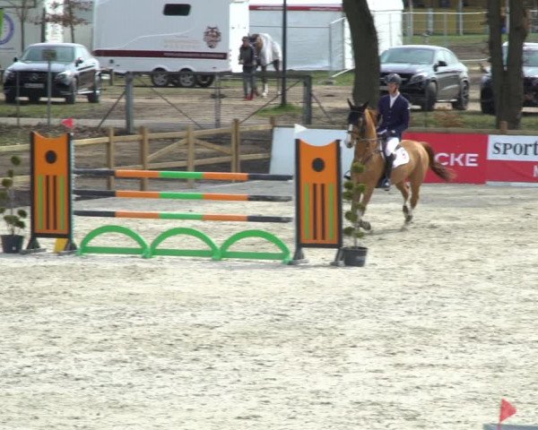FEI Reitturnier Westergellersen (GER) 2021