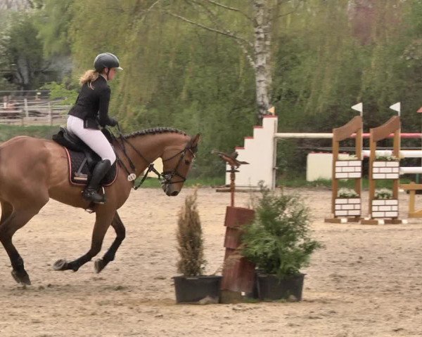Reitturnier Lampertheim 2021