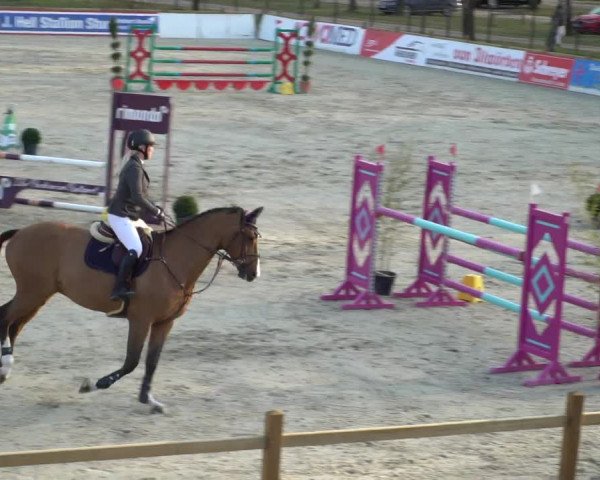 FEI Reitturnier Westergellersen (GER) 2021