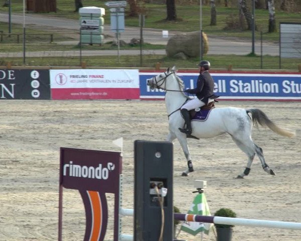 FEI Reitturnier Westergellersen (GER) 2021