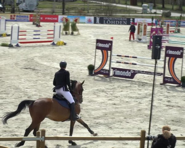 FEI Reitturnier Westergellersen (GER) 2021
