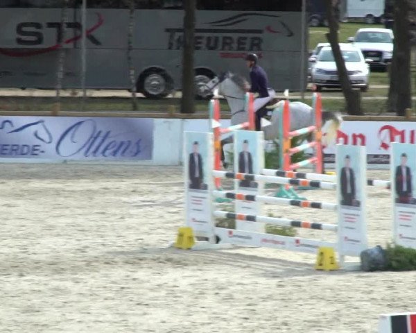 FEI Reitturnier Westergellersen (GER) 2021
