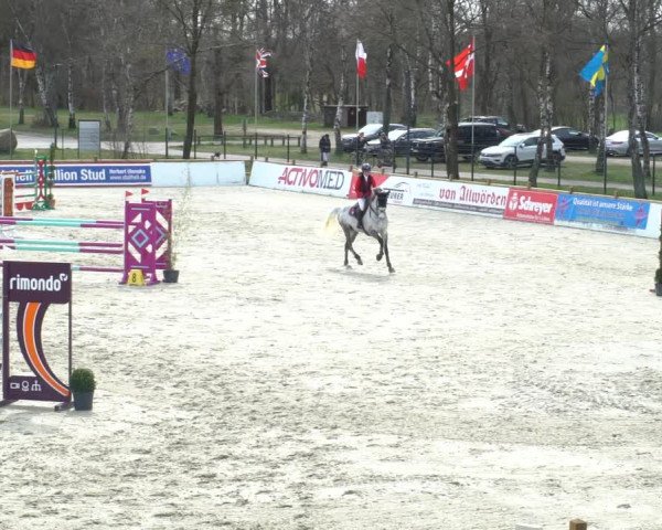 FEI Reitturnier Westergellersen (GER) 2021