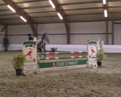 jumper K Club Cincios Z (Zangersheide riding horse, 2002)