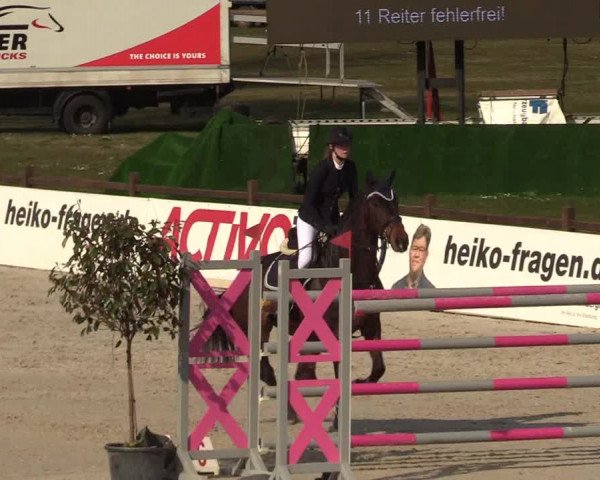 FEI Reitturnier Westergellersen (GER) 2021