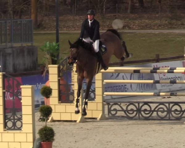 FEI Reitturnier Westergellersen (GER) 2021