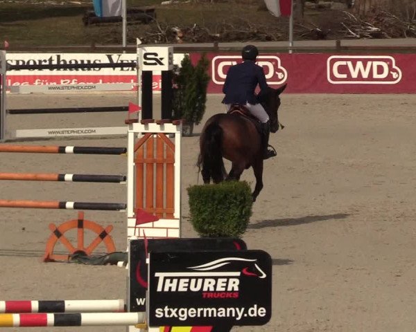 FEI Reitturnier Westergellersen (GER) 2021