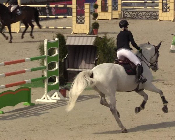 FEI Reitturnier Westergellersen (GER) 2021