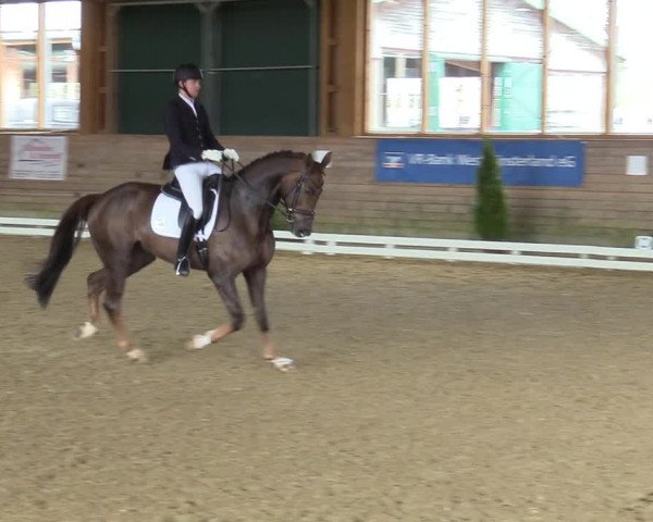 Reitturnier Coesfeld-Lette 2021
