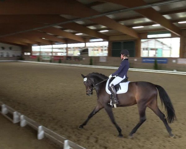 Reitturnier Coesfeld-Lette 2021