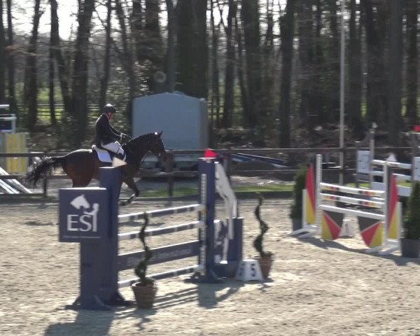 Reitturnier Klein Roscharden 2021