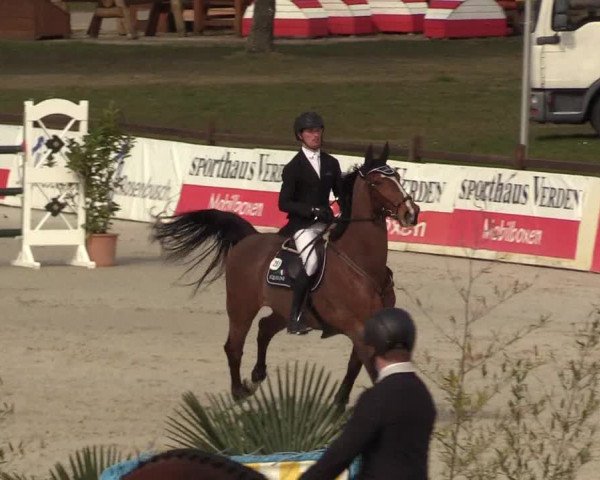 FEI Reitturnier Westergellersen (GER) 2021
