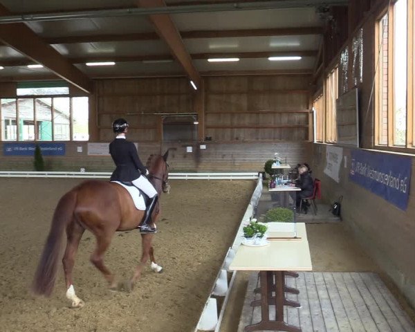 Reitturnier Coesfeld-Lette 2021