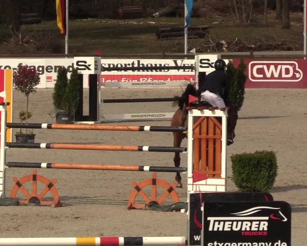 FEI Reitturnier Westergellersen (GER) 2021