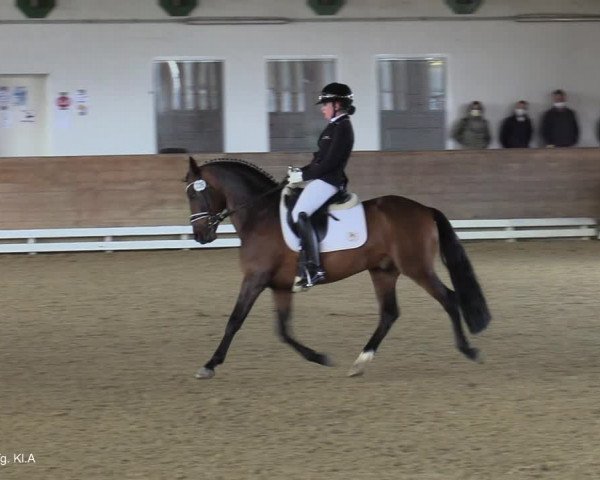Reitturnier Coesfeld-Lette 2021