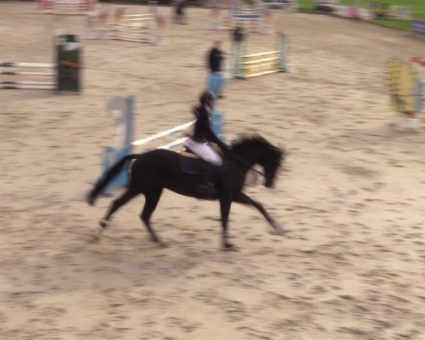 Springreitturnier Hohburg 2021