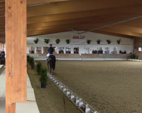 Reitturnier Coesfeld-Lette 2021