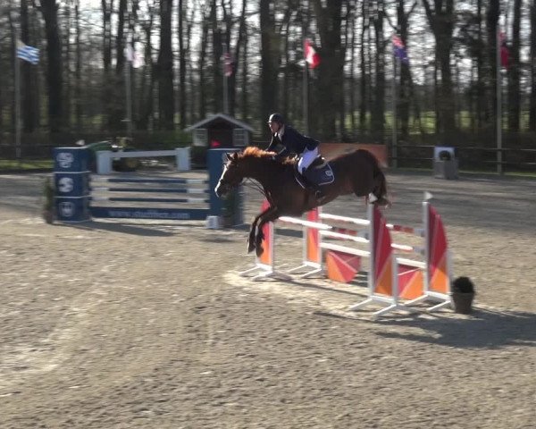 Reitturnier Klein Roscharden 2021