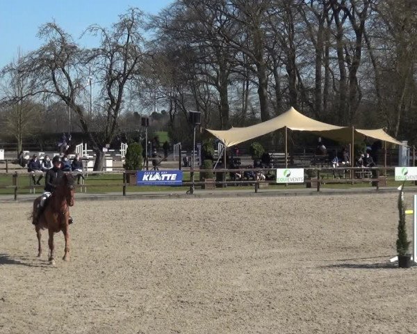 Reitturnier Klein Roscharden 2021