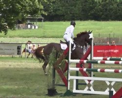 jumper Tosca des Dames (Belgian Warmblood, 2003, from Nabab de Rêve)