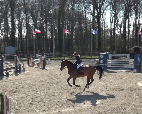 Reitturnier Klein Roscharden 2021