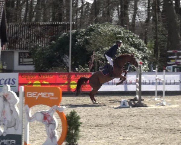 Reitturnier Klein Roscharden 2021