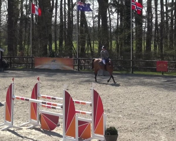 Reitturnier Klein Roscharden 2021