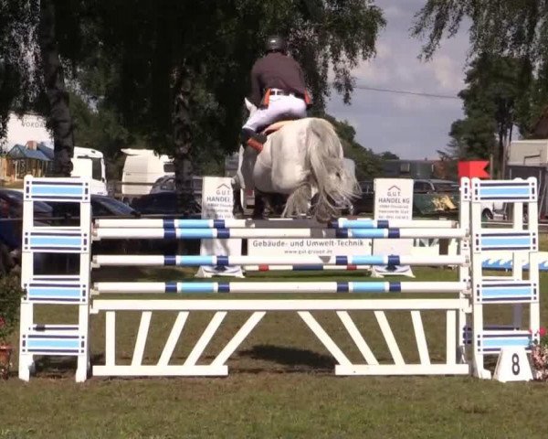 jumper Zaretino (KWPN (Royal Dutch Sporthorse), 2004, from Cassini I)