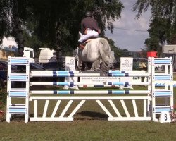 jumper Zaretino (KWPN (Royal Dutch Sporthorse), 2004, from Cassini I)