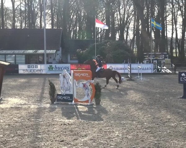 Reitturnier Klein Roscharden 2021