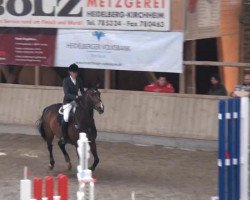 jumper Elektra 145 (Hanoverian, 2004, from Escudo I)