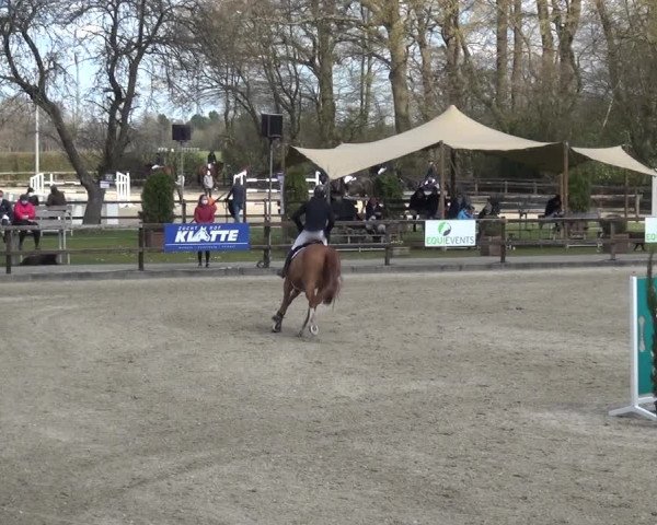 Reitturnier Klein Roscharden 2021