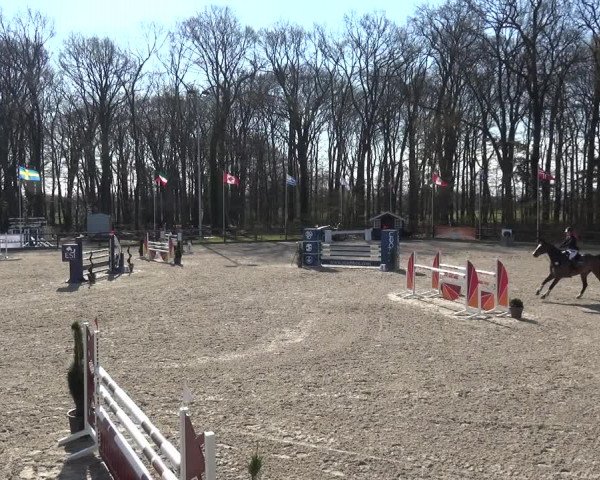 Reitturnier Klein Roscharden 2021