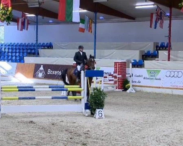 jumper Asmus 12 (Oldenburg, 2006, from Abke 4)