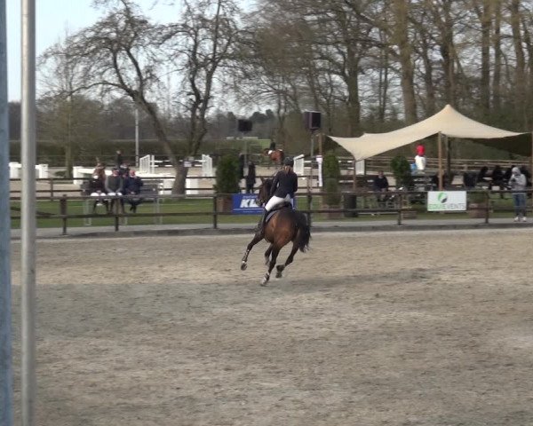 Reitturnier Klein Roscharden 2021