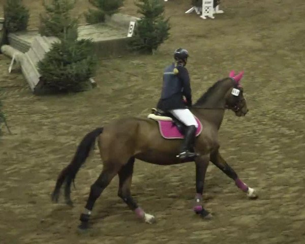 jumper Pippi Langstrumpf (Westphalian, 1997, from Pro Ratio)